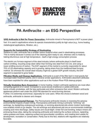 Image showing Premium Nut Coal, 40 lb.