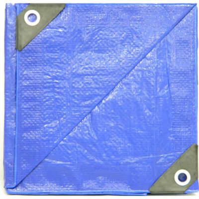 Weathermaster 10 ft. x 20 ft. Lightweight Blue Poly Tarp
