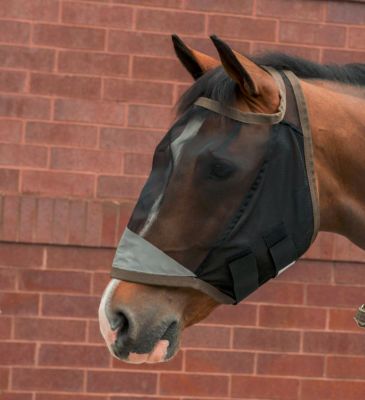 Image showing  Insect Shield Opti-Force Equine Fly Mask without Ears