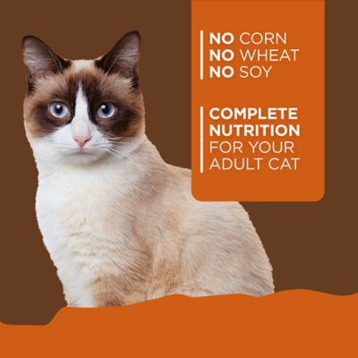 Image showing  Adult Turkey and Giblets Recipe Wet Cat Food, 5.5 oz.