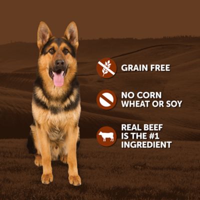 Image showing  Adult Beef and Chicken Recipe Wet Dog Food, 13.2 oz.
