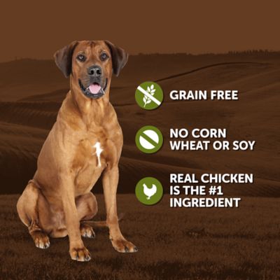 Image showing  Adult Chicken Recipe Wet Dog Food, 13.2 oz.