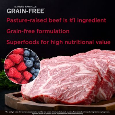 Image showing  All Life Stages Pasture-Raised Beef and Sweet Potato Formula Dry Dog Food