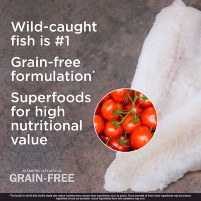 Image showing  All Life Stages Wild-Caught Whitefish and Sweet Potato Formula Dry Dog Food