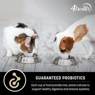 Image showing  Small Breed Adult Beef Formula Dry Dog Food