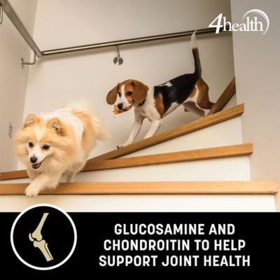 Image showing 5 th 4health Grain Free Adult Chicken and Vegetables Formula Dry Dog Food