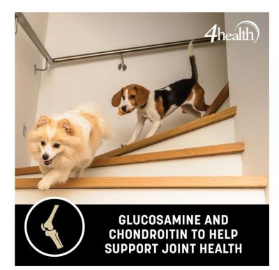 Image showing 5 th 4health Grain Free Adult Chicken and Vegetables Formula Dry Dog Food