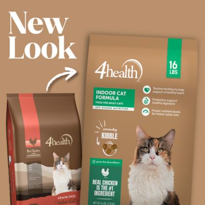 Image showing  Adult Indoor Chicken Formula Dry Cat Food