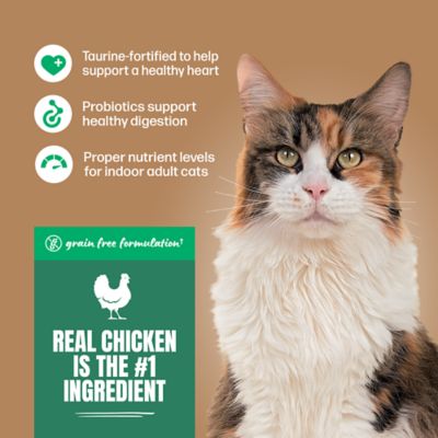 Image showing  Adult Indoor Chicken Formula Dry Cat Food