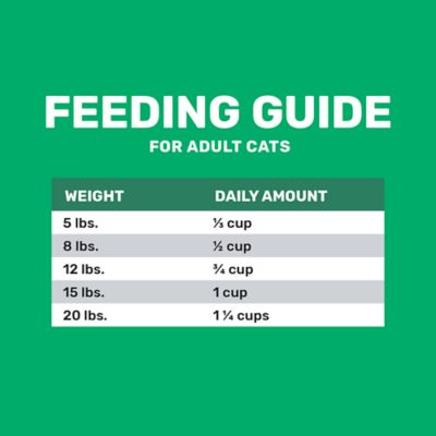 Image showing 5 th 4health Grain Free Adult Indoor Chicken Formula Dry Cat Food
