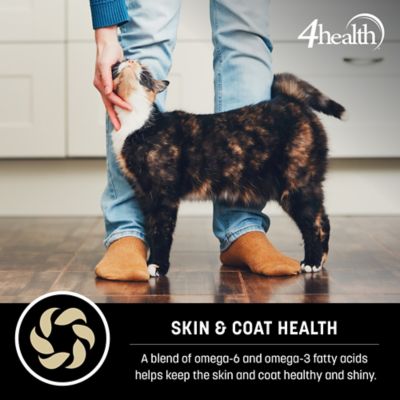 Image showing  Adult Indoor Chicken Formula Dry Cat Food