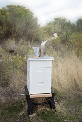 Image showing  Standard Beekeeping Smoker, 3 in. x 6 in.