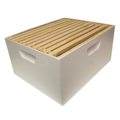 Image showing  Beekeeping Beehive Starter Kit, 1 Box