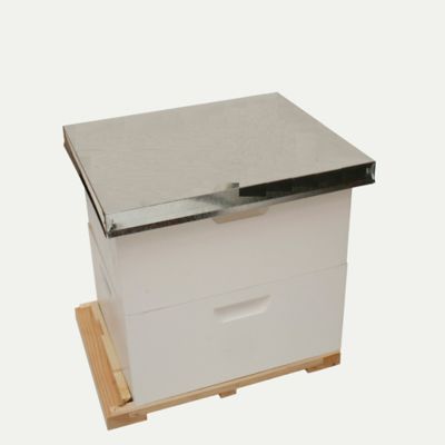 Details about   6x Auto Honey Beehive Frames Beekeeping Kits Frame Harvesting Safe Material Fast 