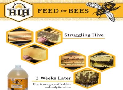 Image showing  1 gal. Liquid Bee Feed with Essential Oils