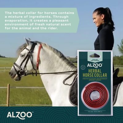 Image showing  Herbal Fly Repellent Collar for Horses