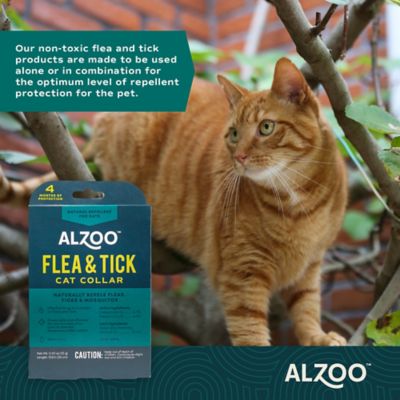 Image showing  Flea and Tick Collar for Cats, 4 Months Protection