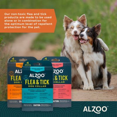Image showing  Plant-Based Flea and Tick Collar for Medium Dogs, 4 Months Protection