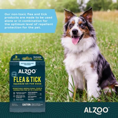 Image showing  Plant-Based Flea and Tick Spot-On Topical Treatment for Dogs, 3-Month Supply