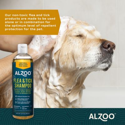 Image showing  Plant-Based Flea and Tick Dog Shampoo, 12 oz.