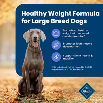 Image showing  Large Breed Adult Healthy Weight Chicken and Brown Rice Recipe Dry Dog Food