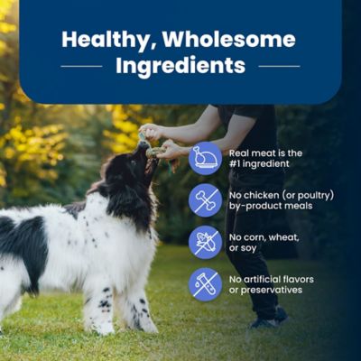Image showing 5 th Blue Buffalo Life Protection Large Breed Adult Healthy Weight Chicken and Brown Rice Recipe Dry Dog Food
