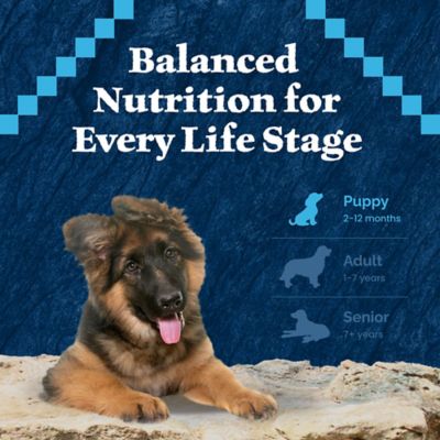 Image showing 7 th Blue Buffalo Wilderness Puppy Grain-Free High-Protein Real Chicken Recipe Dry Dog Food