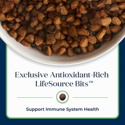 Image showing 6 th Blue Buffalo Basics Adult Grain-Free Limited Ingredient Lamb and Potato Recipe Dry Dog Food