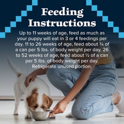 Image showing 9 th Blue Buffalo Wilderness High-Protein Puppy Turkey and Chicken Grill Wet Dog Food, 12.5 oz.