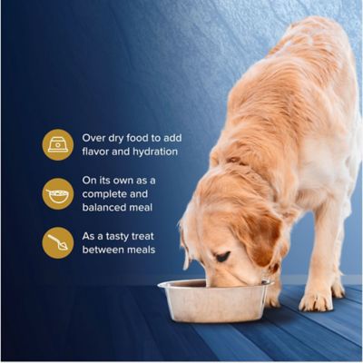 Image showing 6 th Blue Buffalo Wilderness Adult Healthy Weight High-Protein Grain-Free Turkey and Chicken Grill Pate Wet Dog Food, 12.5 oz. Can