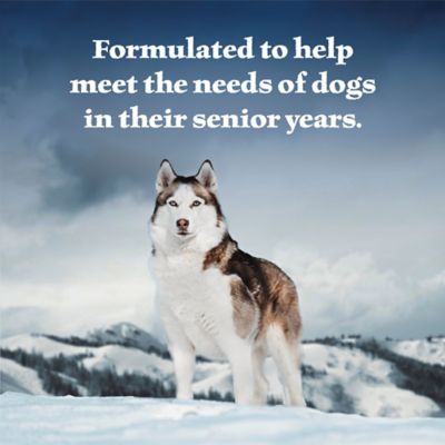 Image showing  High Protein, Natural Senior Wet Dog Food, Turkey & Chicken Grill 12.5-oz. Can