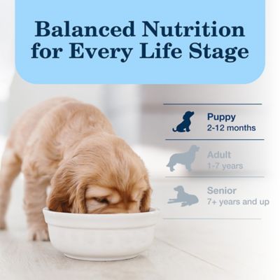 Image showing 7 th Blue Buffalo Homestyle Puppy Chicken Dinner with Garden Vegetables Wet Dog Food, 12.5 oz.