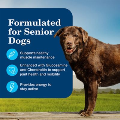 Image showing  Senior Chicken Dinner with Garden Vegetables Recipe Wet Dog Food, 12.5 oz.