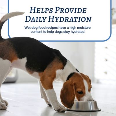 Image showing 6 th Blue Buffalo BLUE Family Favorites Sunday Chicken Adult Chicken Chunks Wet Dog Food, 12.5 oz. Can, Pack of 12