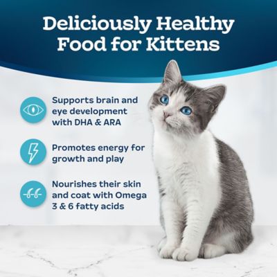 Image showing  Kitten Natural Chicken and Brown Rice Recipe Dry Cat Food
