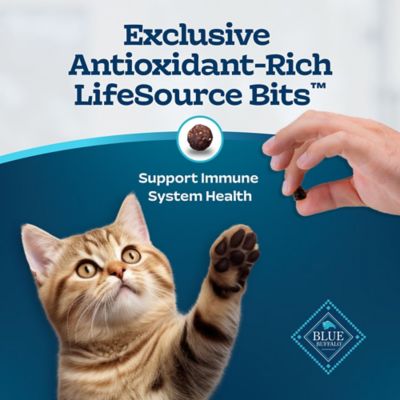 Image showing 5 th Blue Buffalo Tastefuls Kitten Natural Chicken and Brown Rice Recipe Dry Cat Food