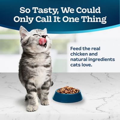 Image showing 6 th Blue Buffalo Tastefuls Kitten Natural Chicken and Brown Rice Recipe Dry Cat Food