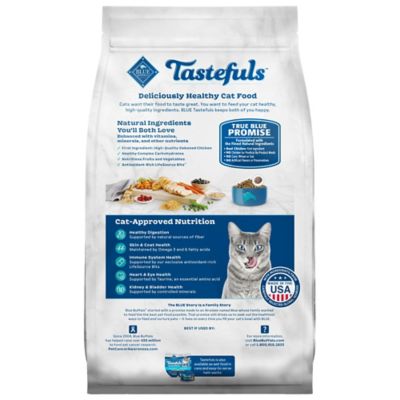 Image showing  Adult Active Cat Chicken and Brown Rice Recipe Dry Cat Food