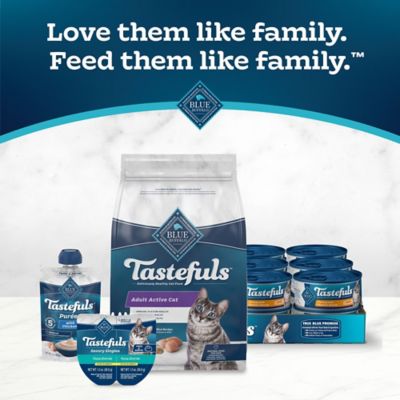 Image showing 8 th Blue Buffalo Tastefuls Adult Active Cat Chicken and Brown Rice Recipe Dry Cat Food