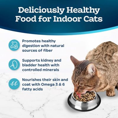 Image showing  Adult Indoor Cat Salmon and Brown Rice Recipe Dry Cat Food