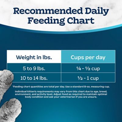 Image showing 8 th Blue Buffalo Tastefuls Adult Indoor Cat Salmon and Brown Rice Recipe Dry Cat Food