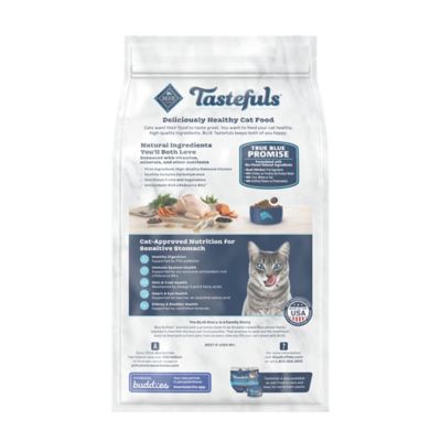 Image showing  Adult Indoor Sensitive Stomach Chicken and Brown Rice Recipe Dry Cat Food