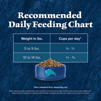 Image showing 9 th Blue Buffalo Wilderness High-Protein, Grain-Free Natural Dry Food for Adult Cats