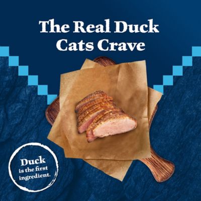 Image showing  Adult High- Protein Natural Duck Recipe Dry Cat Food