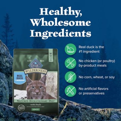 Image showing 5 th Blue Buffalo Wilderness Adult High- Protein Natural Duck Recipe Dry Cat Food