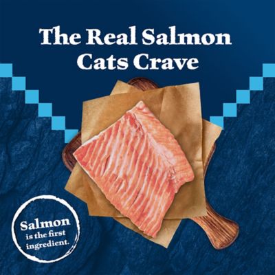 Image showing  Natural Adult Indoor High-Protein Grain-Free Salmon Recipe Dry Cat Food