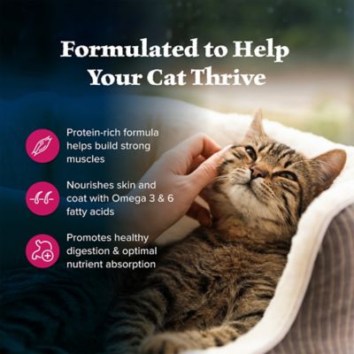 Image showing  Natural Adult Indoor High-Protein Grain-Free Salmon Recipe Dry Cat Food