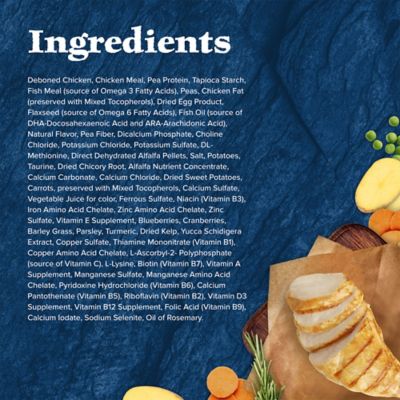 Image showing  Natural Kitten Indoor DHA and ARA High-Protein Grain-Free Chicken Recipe Dry Cat Food, 5 lb. Bag