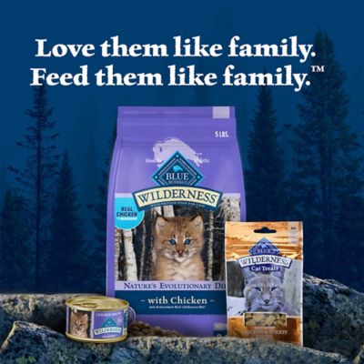 Image showing 8 th Blue Buffalo Wilderness Natural Kitten Indoor DHA and ARA High-Protein Grain-Free Chicken Recipe Dry Cat Food, 5 lb. Bag