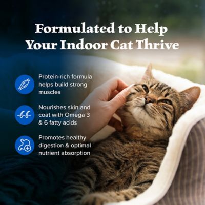 Image showing  Adult Indoor Grain-Free Chicken Recipe Dry Cat Food